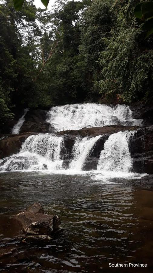 Rainforest River Edge Deniyaya Luaran gambar