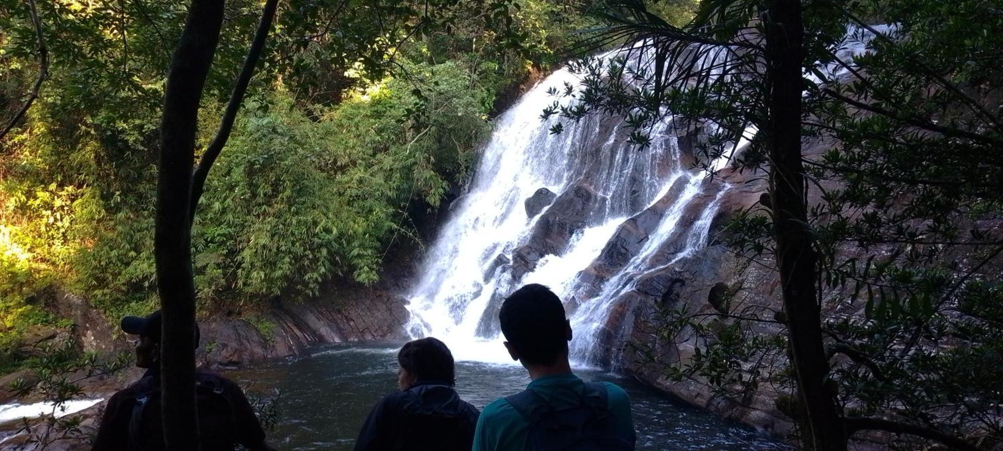 Rainforest River Edge Deniyaya Luaran gambar