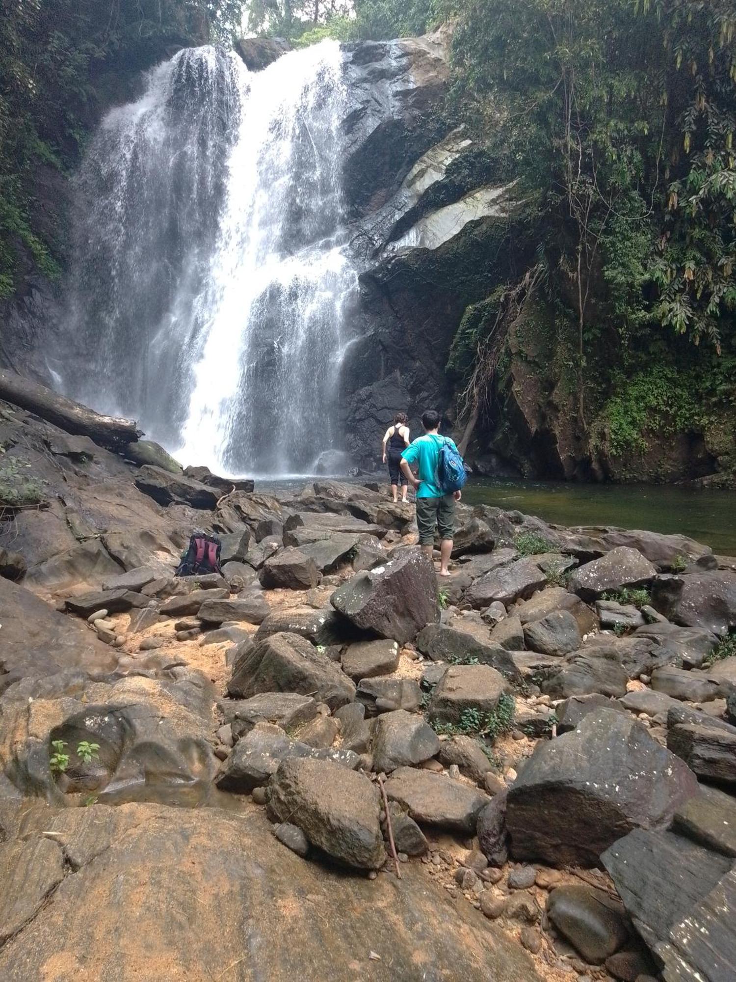 Rainforest River Edge Deniyaya Luaran gambar